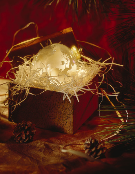 photography by Guy Grafius copyright photoGRAFIUS studios